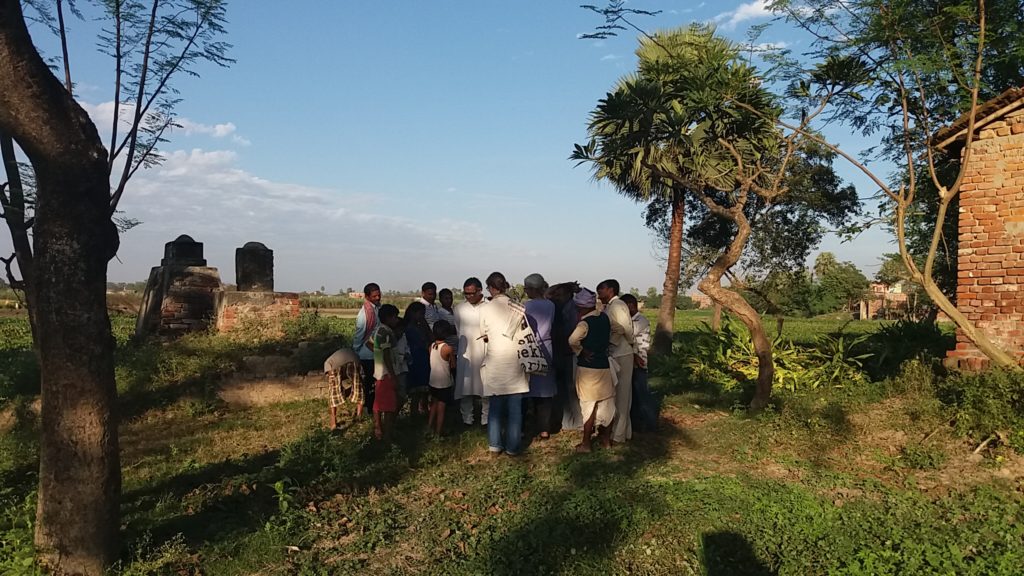 People standing next to a field near small trees.