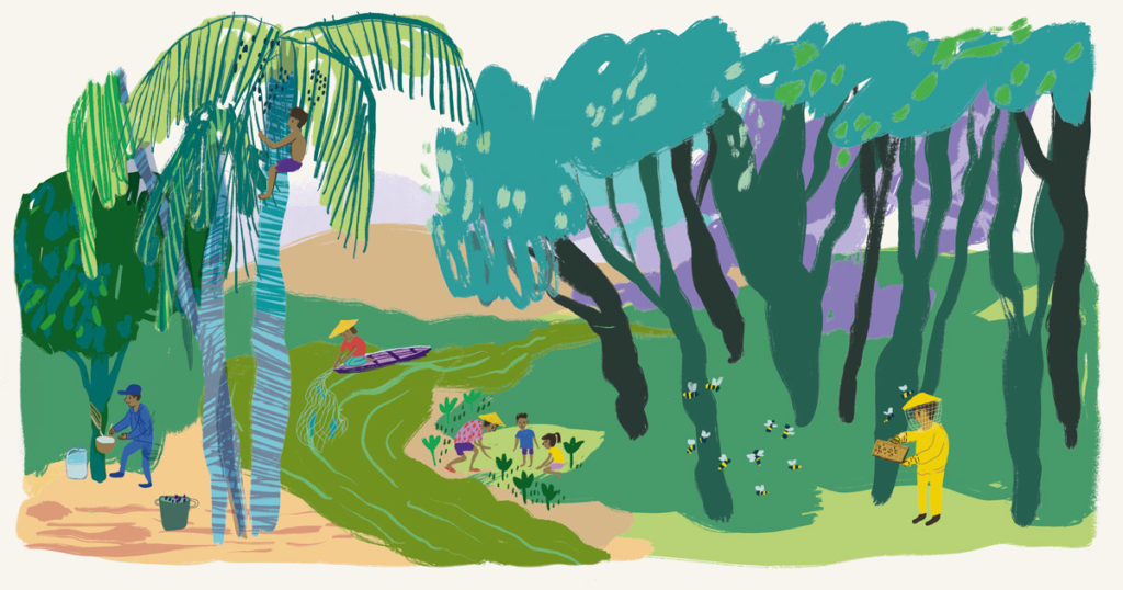 Colorful illustration with tropical forest and a river. People are fishing, collecting garden and forest products, and farming bees.