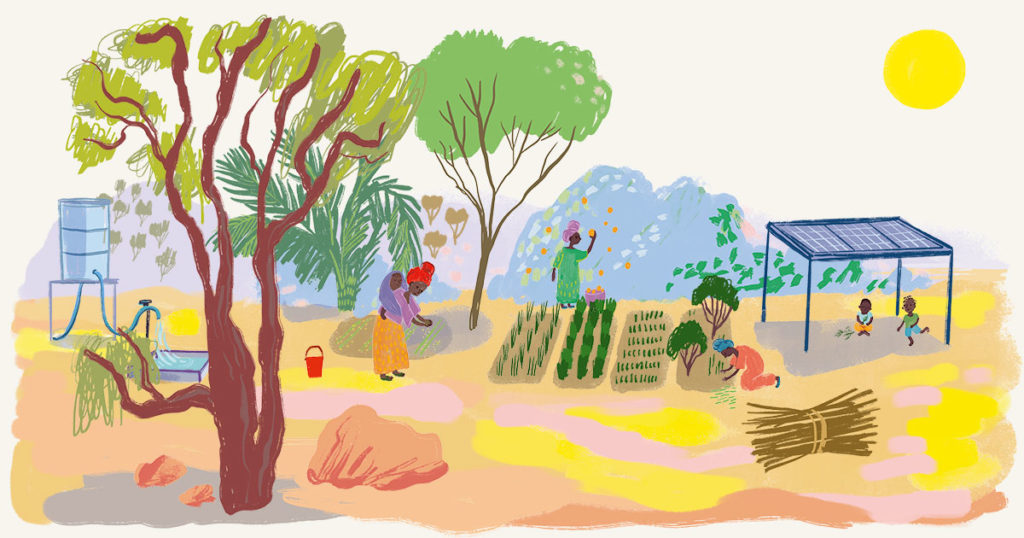 Colourful illustration, where rural women are farming and children playing uder a solar panel. An old tree is on foreground and more forests in the background.