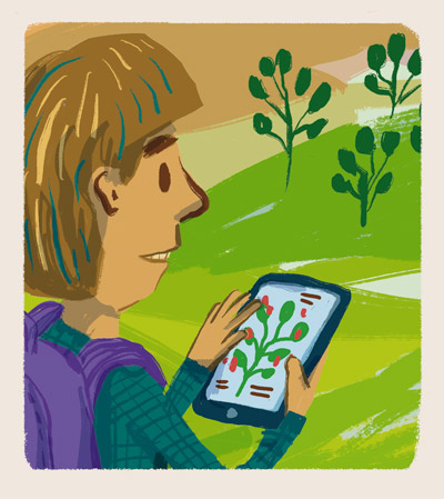 Piirroskuva, jossa ihminen katsoo kasvin kuvaa puhelimella, taustalla samoja kasveja.